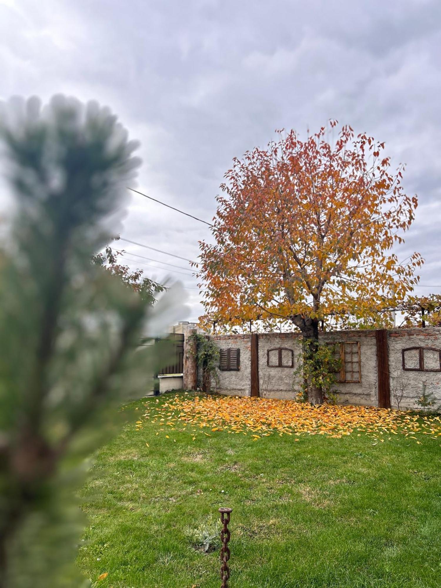 Like Home Rîşnov المظهر الخارجي الصورة